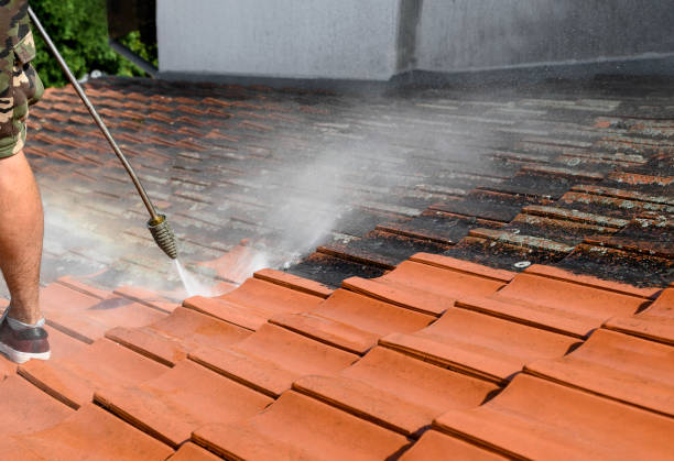 Best Local Pressure Washing Services  in Martindale, TX