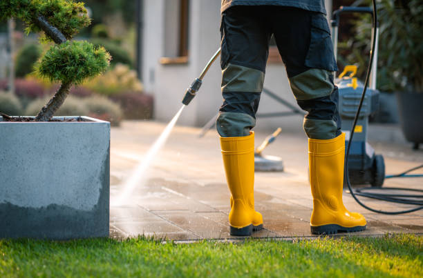 Best Commercial Building Pressure Washing  in Martindale, TX